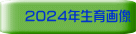 2024年生育画像