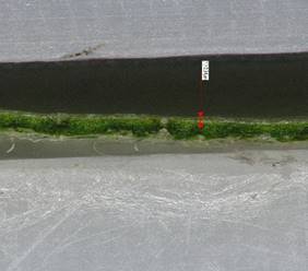 座る, 水, 立つ, 男 が含まれている画像

自動的に生成された説明